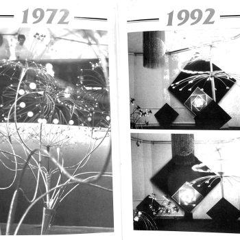 20. Кинетизм