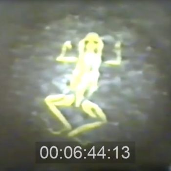 32. Лягушачья