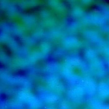 4202a137e96528f1748faaccb1abf695[1]