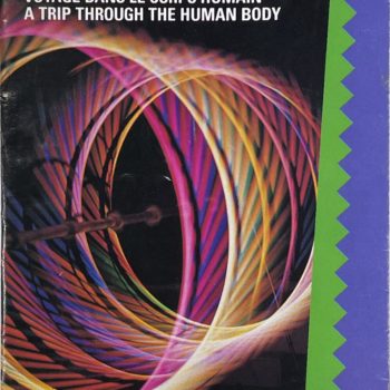 43. Компьютерное искусство