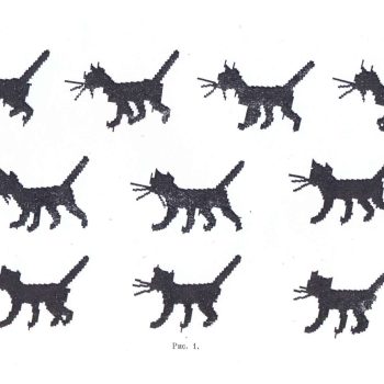 54_Константинов_Минахин_Пономаренко_кошечка_2